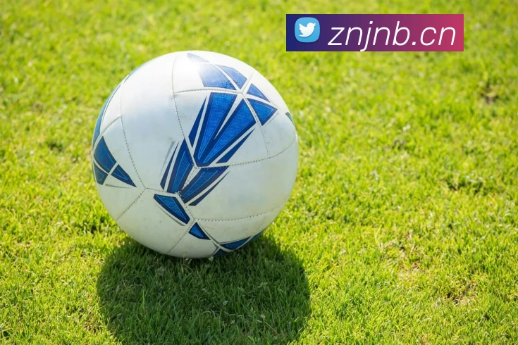 乐鱼官网入口登录品牌故事